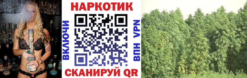 Наркошоп купить ГАШИШ  Бошки Шишки  НБОМе  Меф мяу мяу  Ноябрьск