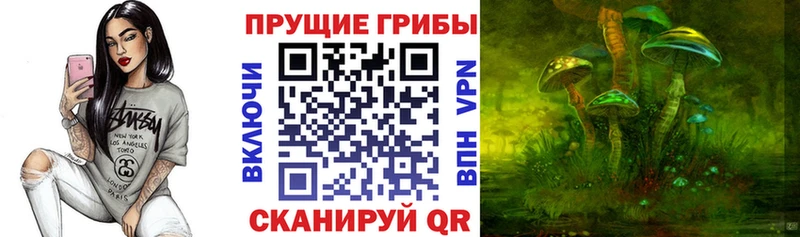 Купить закладки  Ноябрьск  Псилоцибиновые грибы Magic Shrooms 